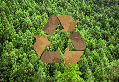 Panduan FSC & EUDR & PEFC untuk Perolehan Bekalan Katering Pakai